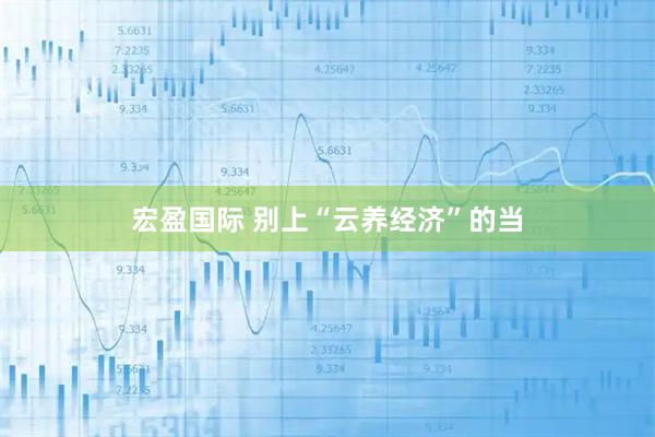 宏盈国际 别上“云养经济”的当