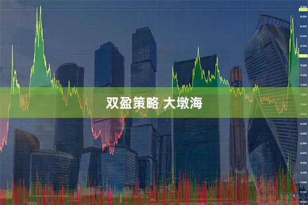 双盈策略 大墩海